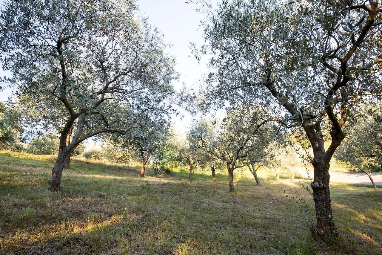 Agriturismo Valbare Fregona Farm stay